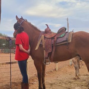 Meet your Posher, Bryannah